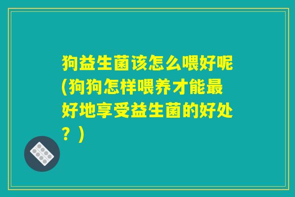 狗益生菌该怎么喂好呢(狗狗怎样喂养才能最好地享受益生菌的好处？)