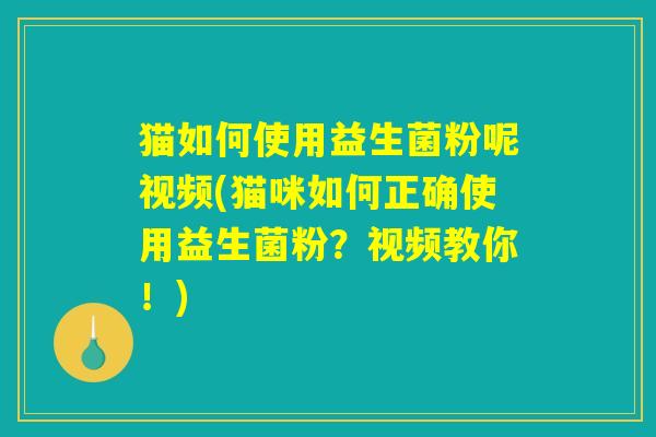 猫如何使用益生菌粉呢视频(猫咪如何正确使用益生菌粉？视频教你！)