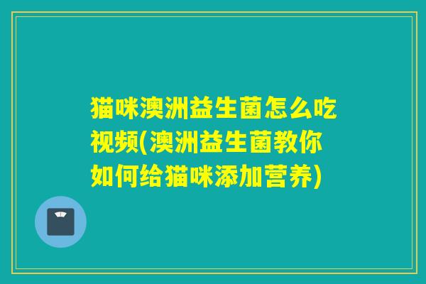 猫咪澳洲益生菌怎么吃视频(澳洲益生菌教你如何给猫咪添加营养)