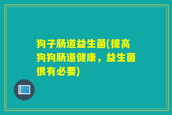 狗子肠道益生菌(提高狗狗肠道健康，益生菌很有必要)