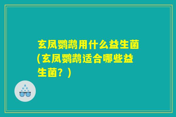玄凤鹦鹉用什么益生菌(玄凤鹦鹉适合哪些益生菌？)