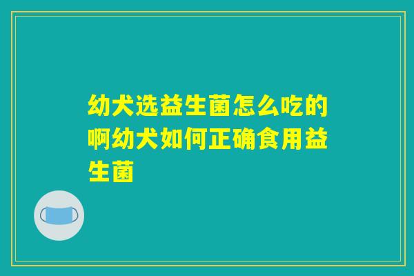 幼犬选益生菌怎么吃的啊幼犬如何正确食用益生菌