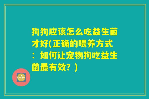 狗狗应该怎么吃益生菌才好(正确的喂养方式：如何让宠物狗吃益生菌最有效？)