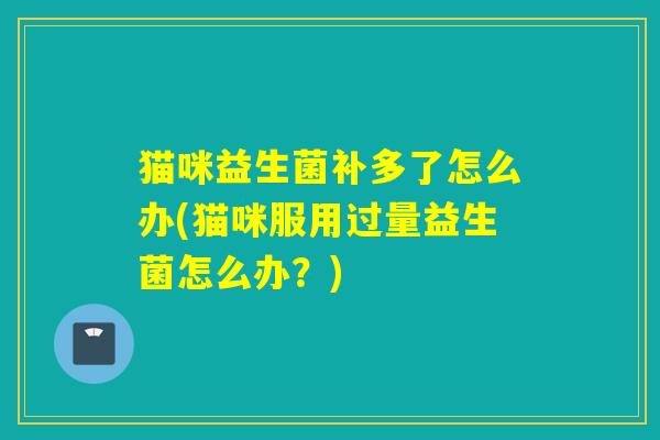 猫咪益生菌补多了怎么办(猫咪服用过量益生菌怎么办？)
