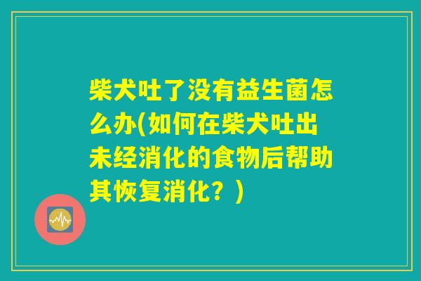 柴犬吐了没有益生菌怎么办(如何在柴犬吐出未经消化的食物后帮助其恢复消化？)