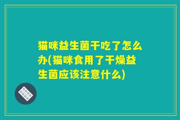 猫咪益生菌干吃了怎么办(猫咪食用了干燥益生菌应该注意什么)