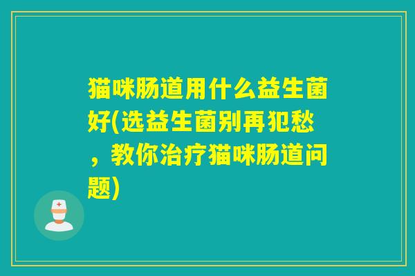 猫咪肠道用什么益生菌好(选益生菌别再犯愁，教你治疗猫咪肠道问题)