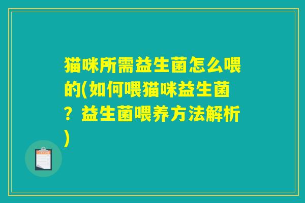 猫咪所需益生菌怎么喂的(如何喂猫咪益生菌？益生菌喂养方法解析)