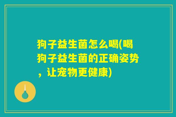 狗子益生菌怎么喝(喝狗子益生菌的正确姿势，让宠物更健康)