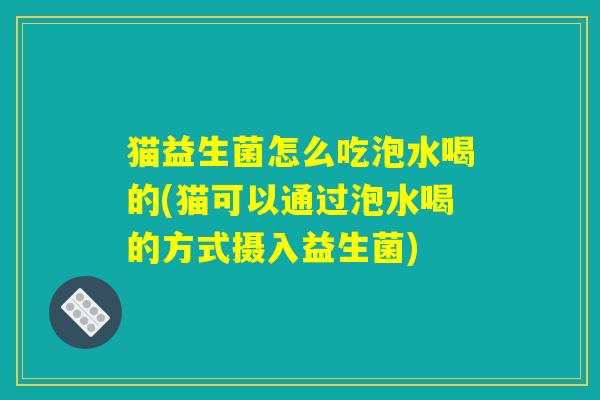 猫益生菌怎么吃泡水喝的(猫可以通过泡水喝的方式摄入益生菌)