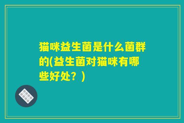 猫咪益生菌是什么菌群的(益生菌对猫咪有哪些好处？)