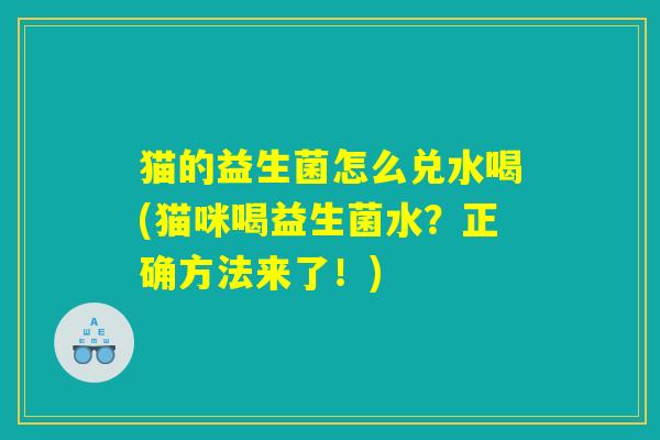 猫的益生菌怎么兑水喝(猫咪喝益生菌水？正确方法来了！)