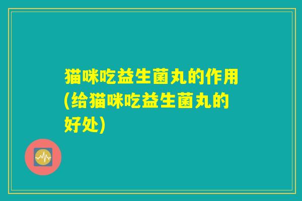 猫咪吃益生菌丸的作用(给猫咪吃益生菌丸的好处)