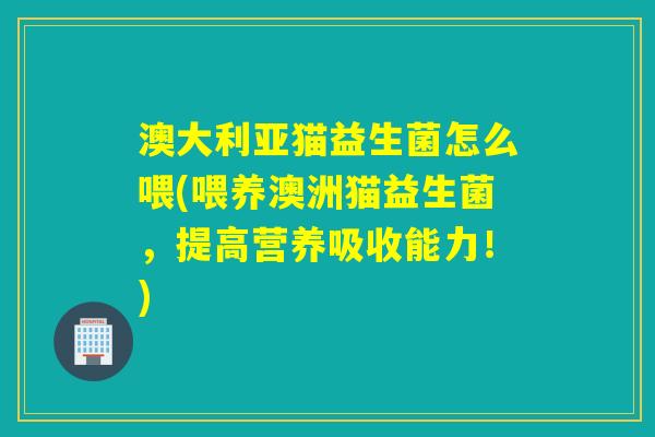 澳大利亚猫益生菌怎么喂(喂养澳洲猫益生菌，提高营养吸收能力！)