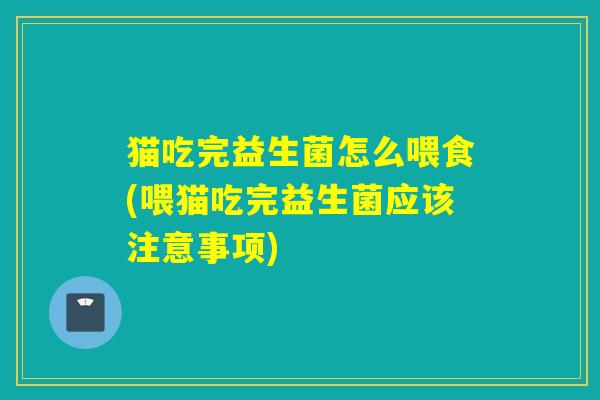 猫吃完益生菌怎么喂食(喂猫吃完益生菌应该注意事项)