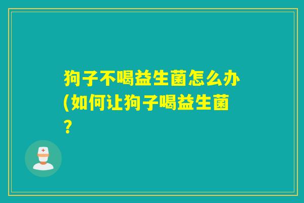 狗子不喝益生菌怎么办(如何让狗子喝益生菌？