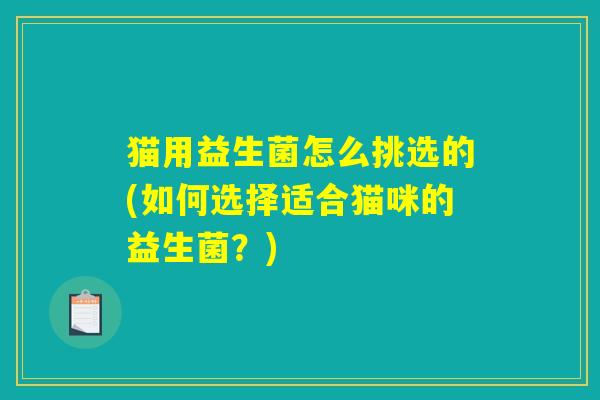 猫用益生菌怎么挑选的(如何选择适合猫咪的益生菌？)