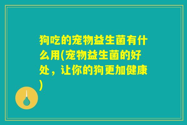 狗吃的宠物益生菌有什么用(宠物益生菌的好处，让你的狗更加健康)