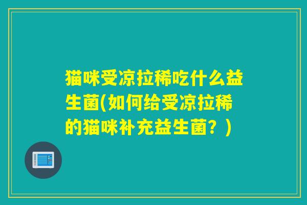 猫咪受凉拉稀吃什么益生菌(如何给受凉拉稀的猫咪补充益生菌?) 猫咪受凉拉稀吃什么益生菌(如何给受凉拉稀的猫咪补充益生菌?)
