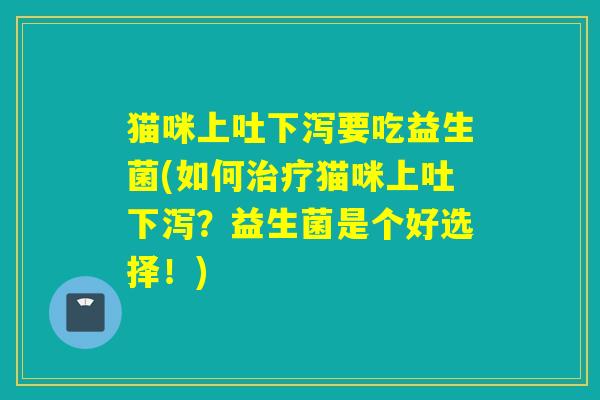 猫咪上吐下泻要吃益生菌(如何治疗猫咪上吐下泻？益生菌是个好选择！)