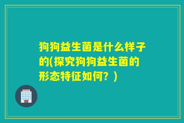 狗狗益生菌是什么样子的(探究狗狗益生菌的形态特征如何？)