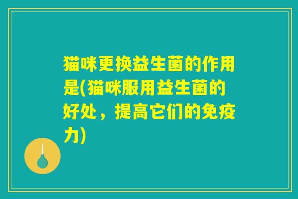 猫咪更换益生菌的作用是(猫咪服用益生菌的好处，提高它们的免疫力)