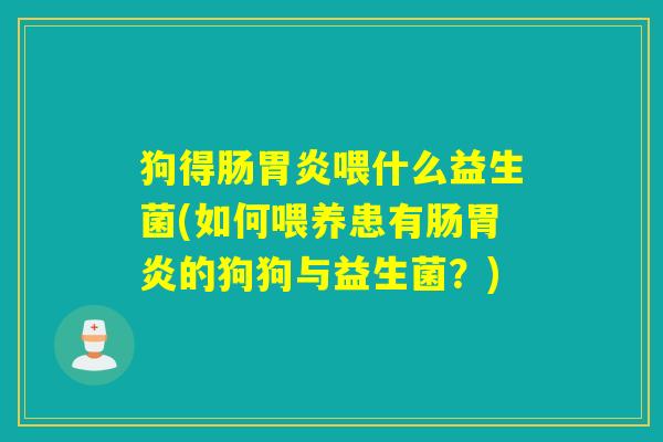 狗得肠胃炎喂什么益生菌(如何喂养患有肠胃炎的狗狗与益生菌？)