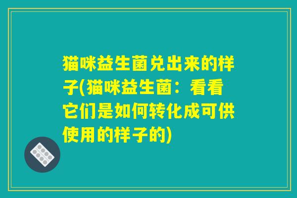 猫咪益生菌兑出来的样子(猫咪益生菌：看看它们是如何转化成可供使用的样子的)