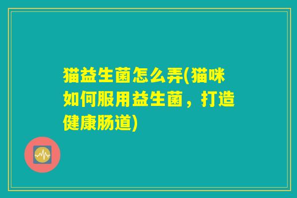 猫益生菌怎么弄(猫咪如何服用益生菌,打造健康肠道) 猫益生菌怎么弄(猫咪如何服用益生菌,打造健康肠道)