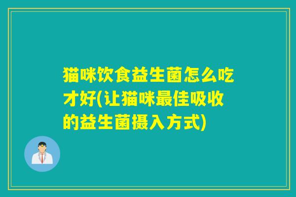 猫咪饮食益生菌怎么吃才好(让猫咪最佳吸收的益生菌摄入方式)