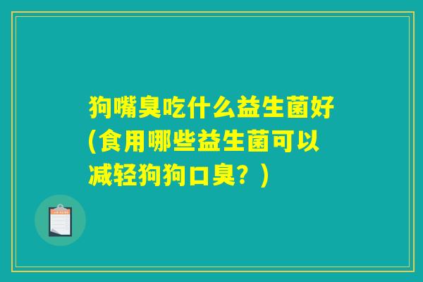 狗嘴臭吃什么益生菌好(食用哪些益生菌可以减轻狗狗口臭？)