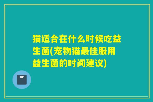 猫适合在什么时候吃益生菌(宠物猫最佳服用益生菌的时间建议)