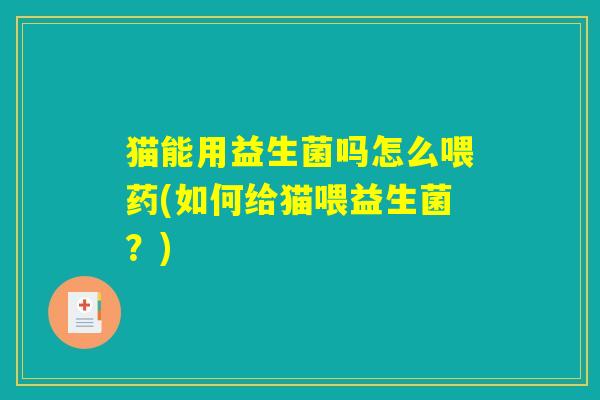 猫能用益生菌吗怎么喂药(如何给猫喂益生菌？)