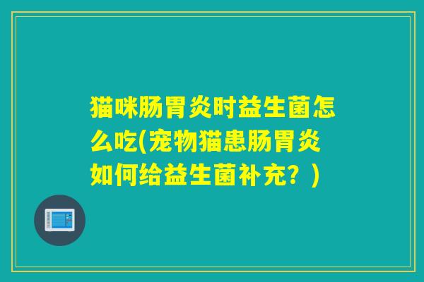 猫咪肠胃炎时益生菌怎么吃(宠物猫患肠胃炎如何给益生菌补充？)
