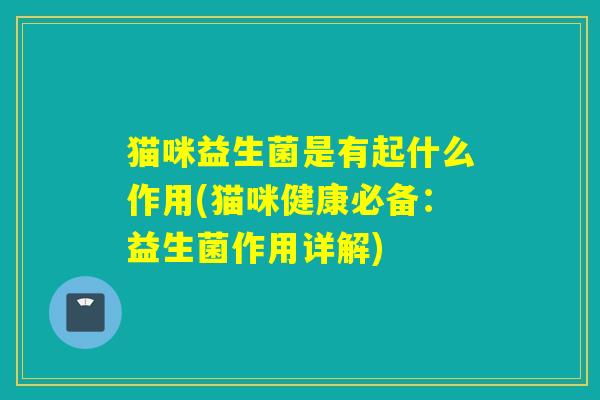 猫咪益生菌是有起什么作用(猫咪健康必备：益生菌作用详解)