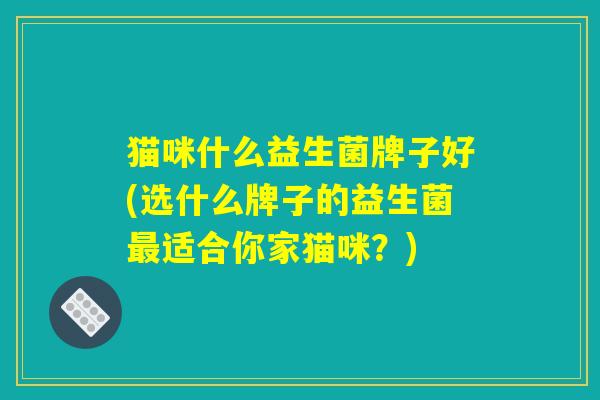 猫咪什么益生菌牌子好(选什么牌子的益生菌最适合你家猫咪？)
