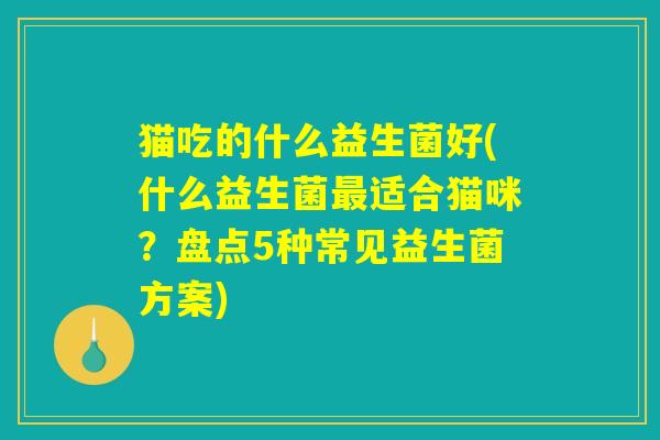 猫吃的什么益生菌好(什么益生菌最适合猫咪？盘点5种常见益生菌方案)