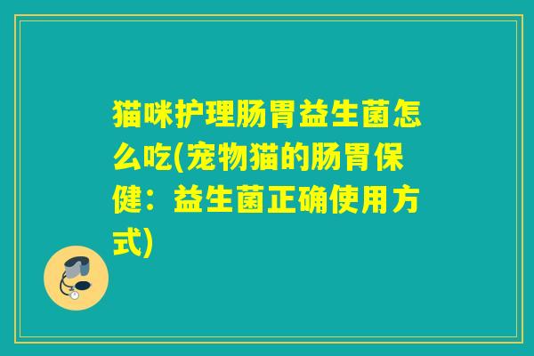 猫咪护理肠胃益生菌怎么吃(宠物猫的肠胃保健：益生菌正确使用方式)