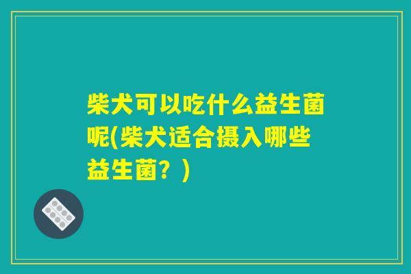 详细阅读:柴犬可以吃什么益生菌呢(柴犬适合摄入哪些益生菌?) 柴犬可以吃什么益生菌呢(柴犬适合摄入哪些益生菌?)