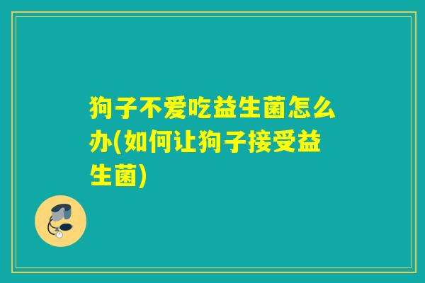 狗子不爱吃益生菌怎么办(如何让狗子接受益生菌)