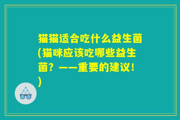 猫猫适合吃什么益生菌(猫咪应该吃哪些益生菌？——重要的建议！)