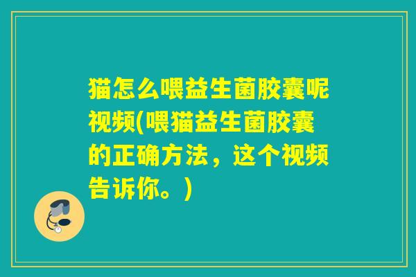 猫怎么喂益生菌胶囊呢视频(喂猫益生菌胶囊的正确方法，这个视频告诉你。)