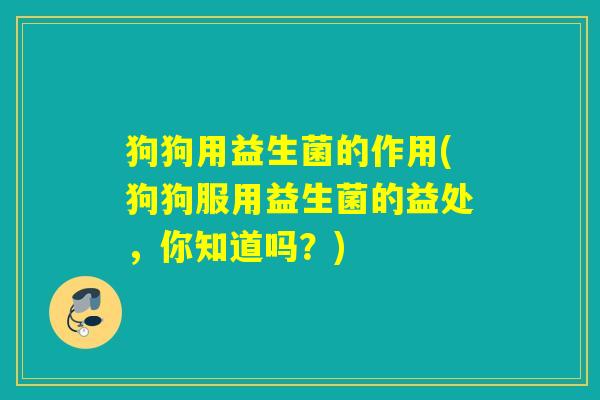 狗狗用益生菌的作用(狗狗服用益生菌的益处，你知道吗？)