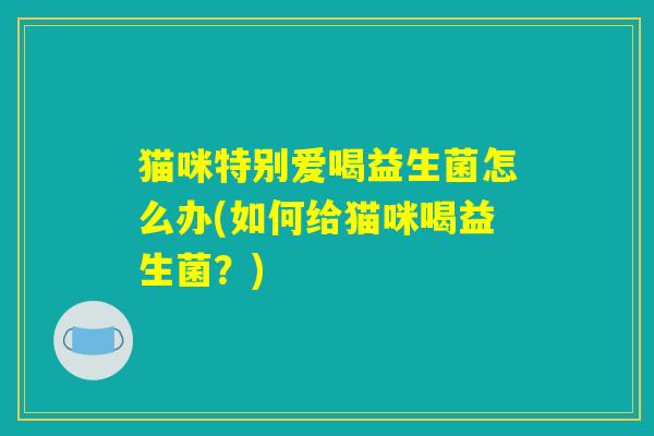 猫咪特别爱喝益生菌怎么办(如何给猫咪喝益生菌？)