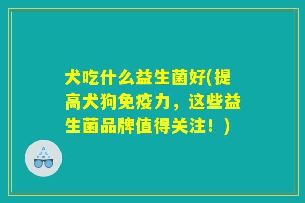 犬吃什么益生菌好(提高犬狗免疫力，这些益生菌品牌值得关注！)