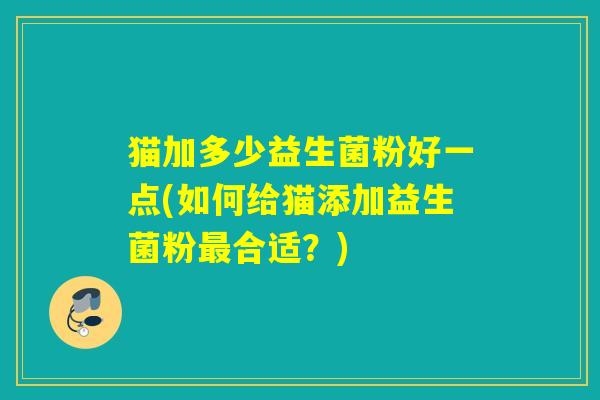 猫加多少益生菌粉好一点(如何给猫添加益生菌粉最合适？)