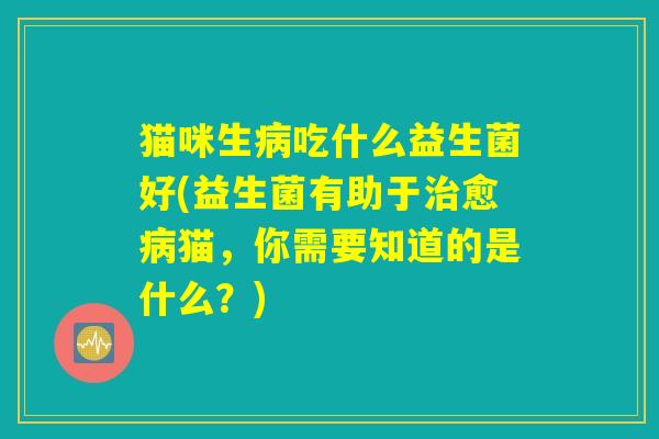 猫咪生病吃什么益生菌好(益生菌有助于治愈病猫，你需要知道的是什么？)