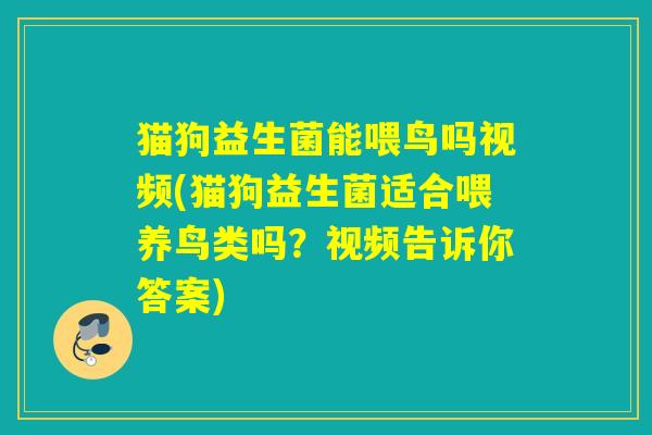 猫狗益生菌能喂鸟吗视频(猫狗益生菌适合喂养鸟类吗？视频告诉你答案)
