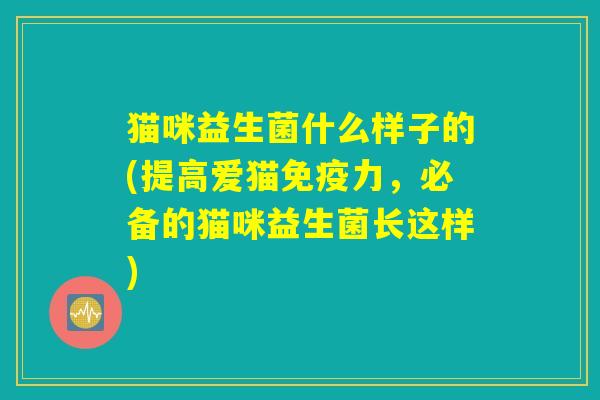 猫咪益生菌什么样子的(提高爱猫力,必备的猫咪益生菌长这样) 猫咪益生菌什么样子的(提高爱猫力,必备的猫咪益生菌长这样)