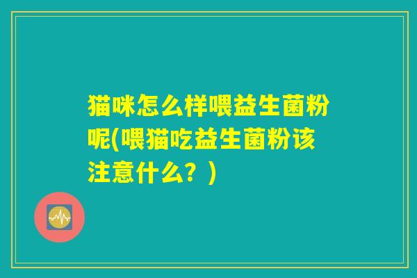 猫咪怎么样喂益生菌粉呢(喂猫吃益生菌粉该注意什么？)